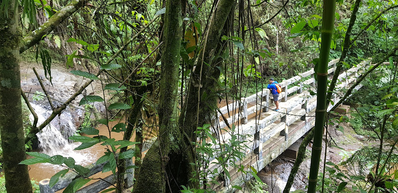 Coban Trisula