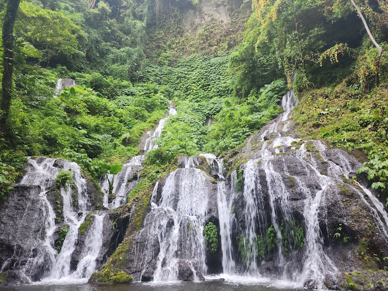 Wanagiri Pucak Manik Waterfall