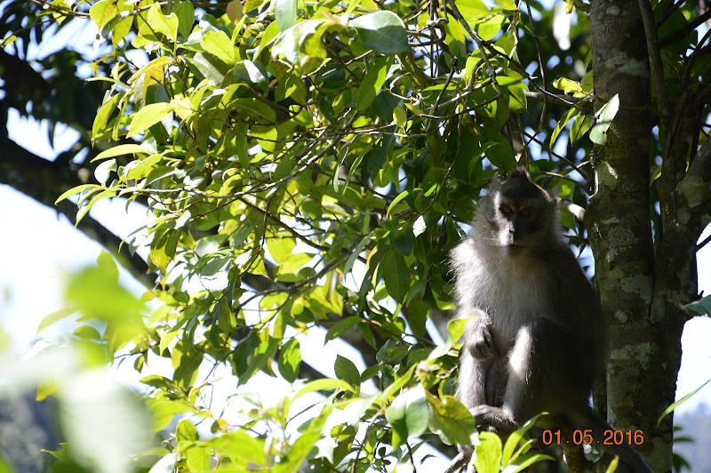 Taman Wisata Alam Ruteng