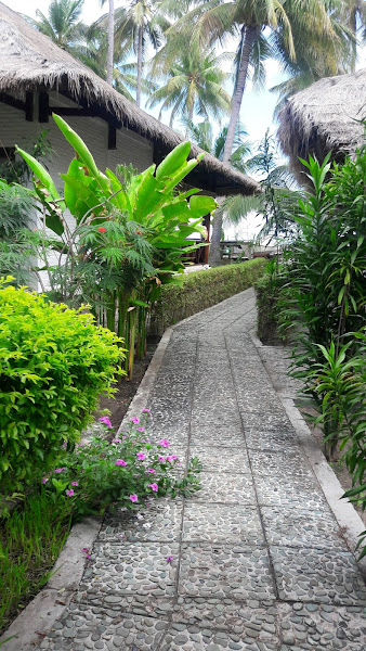 Amrita Maumere Resort