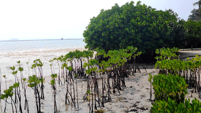 Wisata Pulau Tidung Kecil