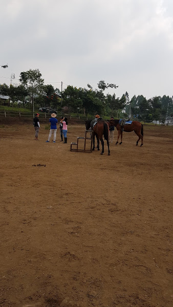 Lapangan Golf