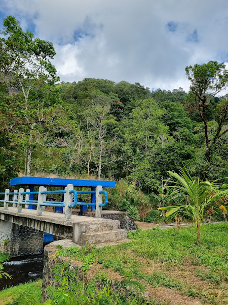 Air Terjun Cemara