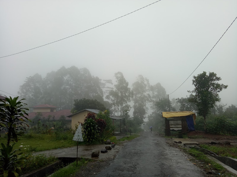 Kost SEPTIA