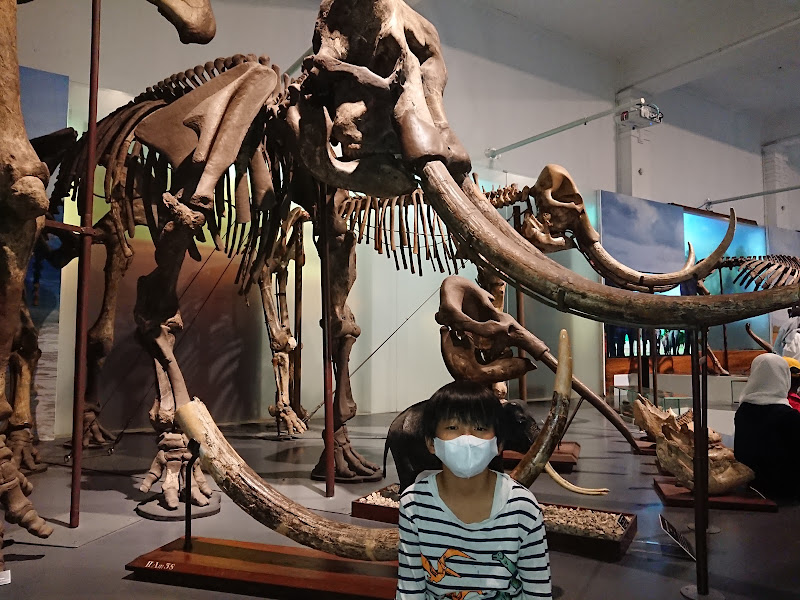 Museum Geologi Bandung