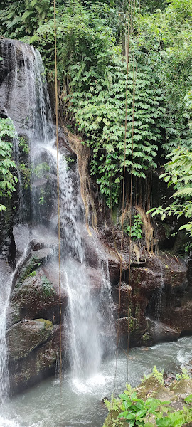 Air Terjun Dedari