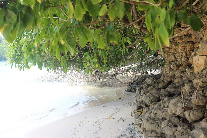 Pantai Waru-Waru