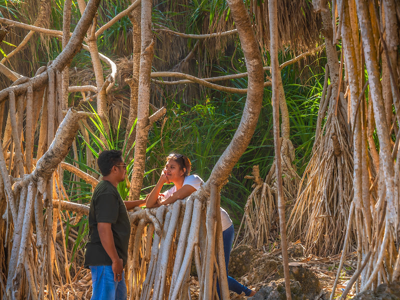 Taman Rekreasi Pantai Kepo